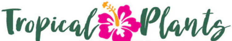 Tropical Plants